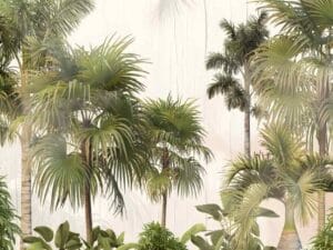 Tropical palm tree wallpaper with lush greenery.