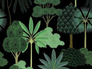 Dark green tropical botanical wallpaper on black background