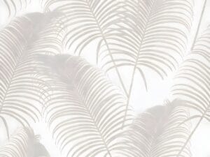 Soft white palm leaves on a light background