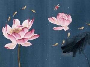 Pink Lotus Flower Wallpaper with Dark Blue Background